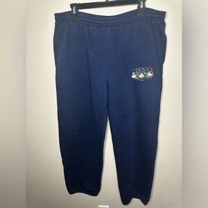 Vintage Mickey, INC The Walt Disney Company Jogger Sweatpants Navy Blue Size XL